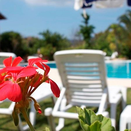 סידריון Chrysanthy Apartments מראה חיצוני תמונה