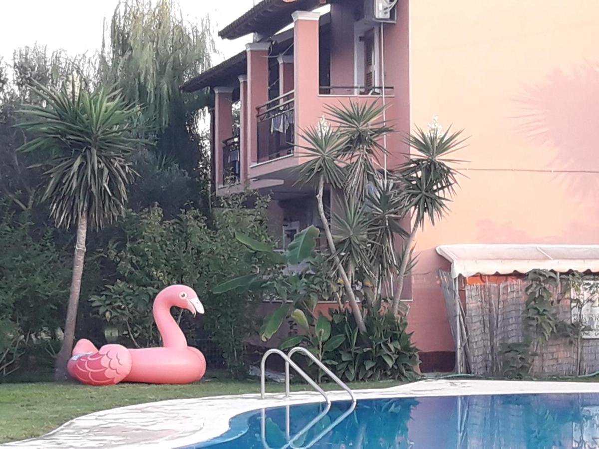סידריון Chrysanthy Apartments מראה חיצוני תמונה